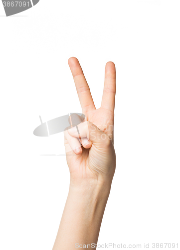 Image of close up of hand showing peace or victory sign