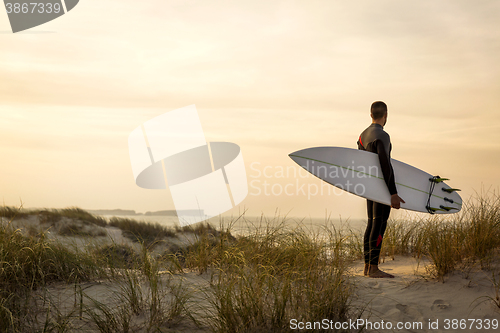 Image of Searching for the swell