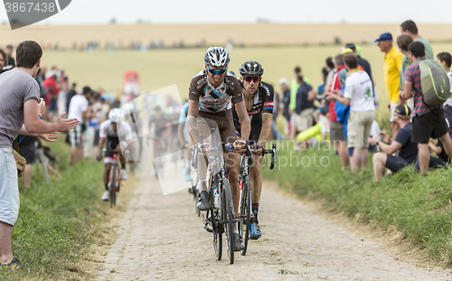 Image of The Peloton on a Cobblestone Road - Tour de France 2015