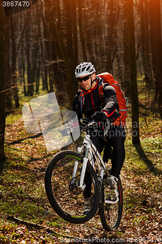 Image of Mountain biker riding on bike in springforest landscape. 