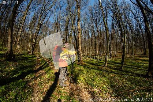 Image of Active healthy man hiking in beautiful forest