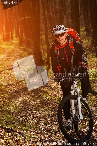 Image of Mountain biker riding on bike in springforest landscape. 