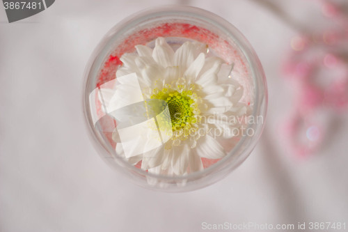 Image of spring flower in a glass