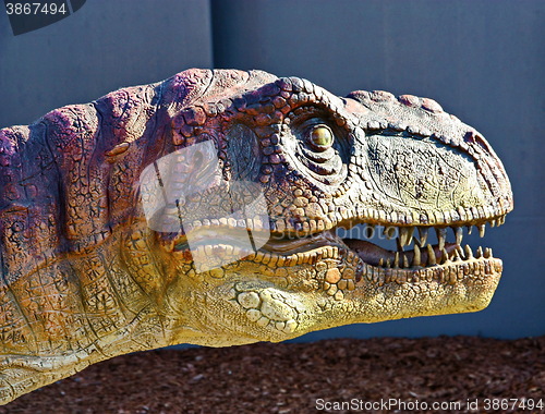 Image of Tyrannosaurus Rex