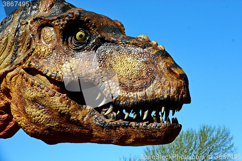 Image of Tyrannosaurus Rex