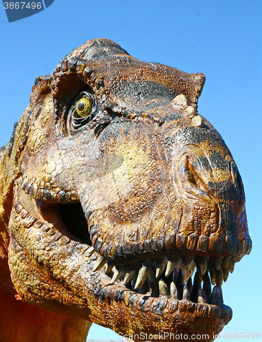 Image of Tyrannosaurus Rex