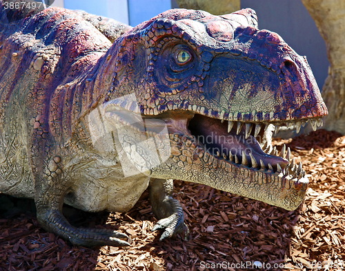 Image of Tyrannosaurus Rex