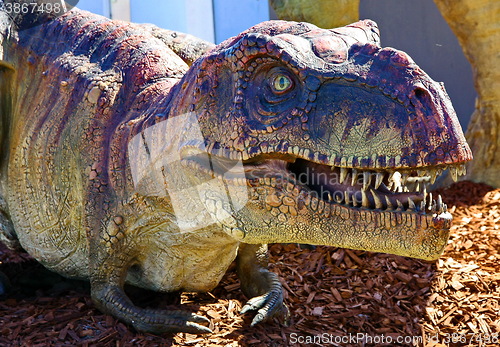 Image of Tyrannosaurus Rex