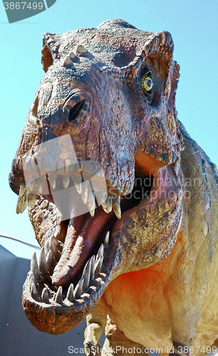 Image of Tyrannosaurus Rex