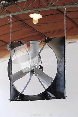 Image of Fan in Barn