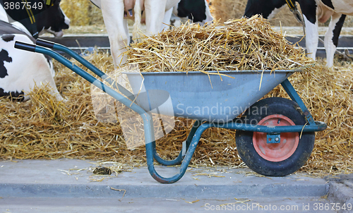 Image of Wheelbarrow