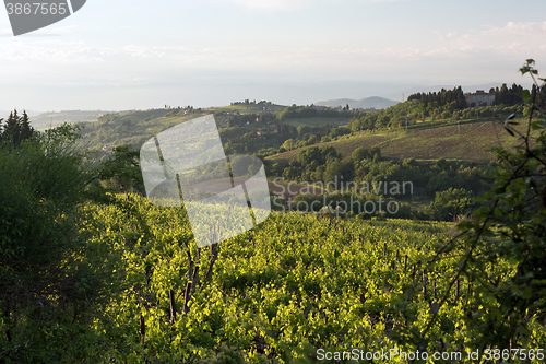 Image of Landscape. Tuscany, Italy