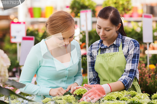 Image of happy women choosing flowers in greenhouse