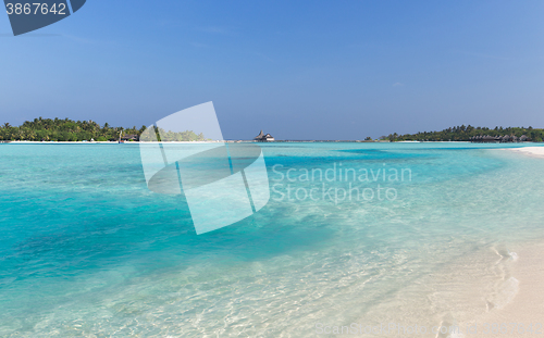 Image of maldives island beach with palm tree and villa