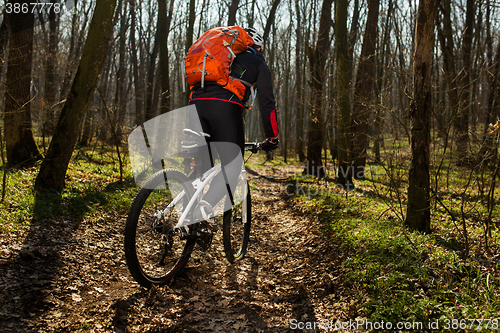 Image of Mountain biker riding on bike in springforest landscape. 