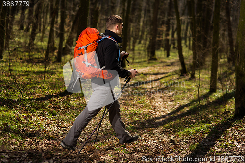 Image of Active healthy man hiking in beautiful forest