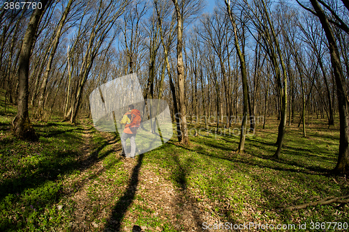 Image of Active healthy man hiking in beautiful forest