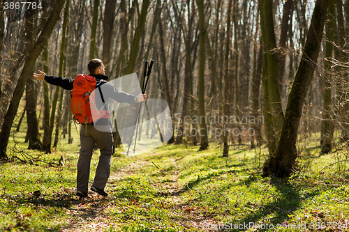 Image of Active healthy man hiking in beautiful forest