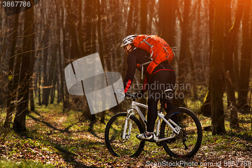 Image of Mountain biker riding on bike in springforest landscape. 