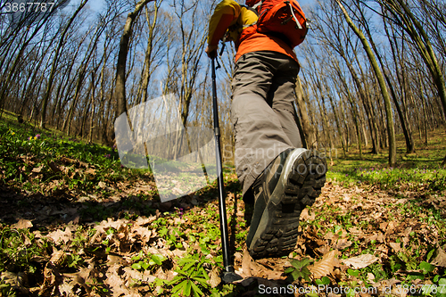 Image of Close up of hiker shoes boots and hiking sticks poles