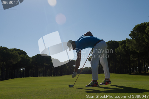 Image of golf player placing ball on tee