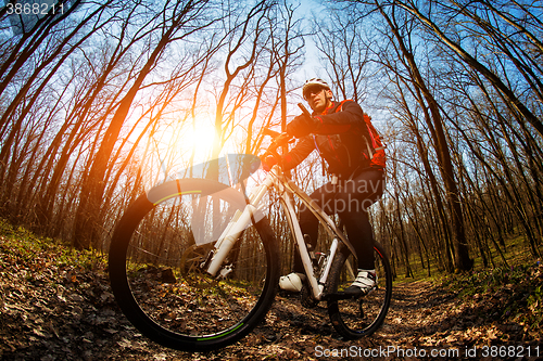 Image of Cyclist Riding the Bike