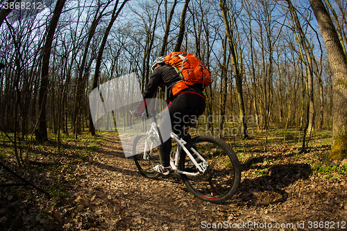 Image of Cyclist Riding the Bike