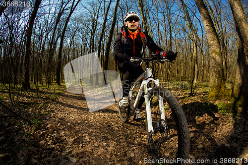 Image of Cyclist Riding the Bike