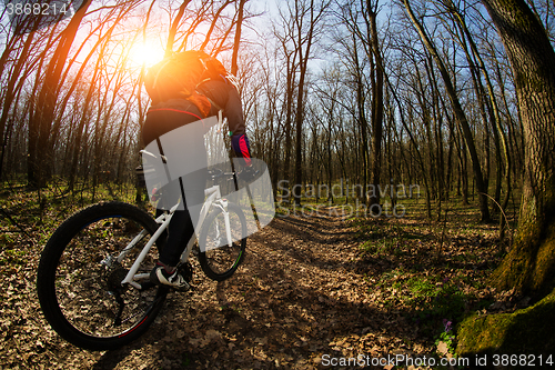 Image of Cyclist Riding the Bike