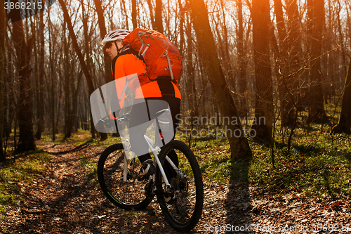 Image of Mountain biker riding on bike in springforest landscape. 