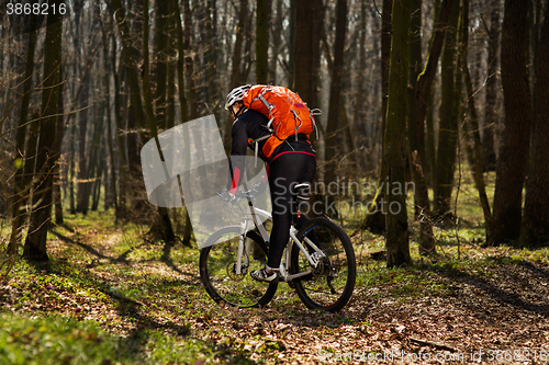 Image of Mountain biker riding on bike in springforest landscape. 