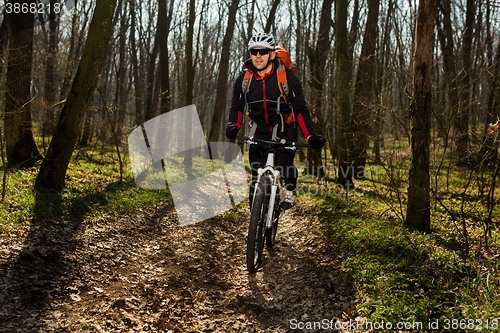 Image of Mountain biker riding on bike in springforest landscape. 