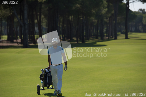 Image of golf player walking with wheel bag