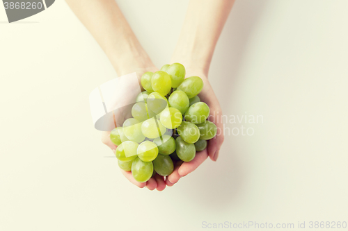 Image of close up of woman hands holding green grape bunch