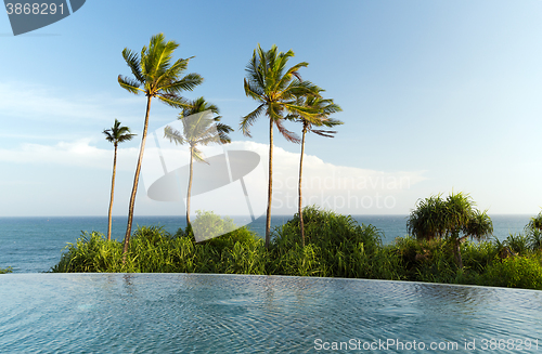 Image of view from infinity edge pool to ocean and palms