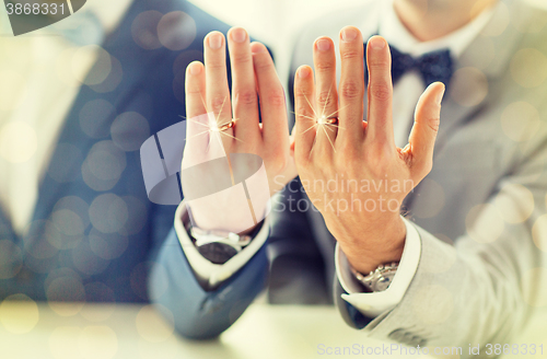 Image of close up of male gay couple with wedding rings on