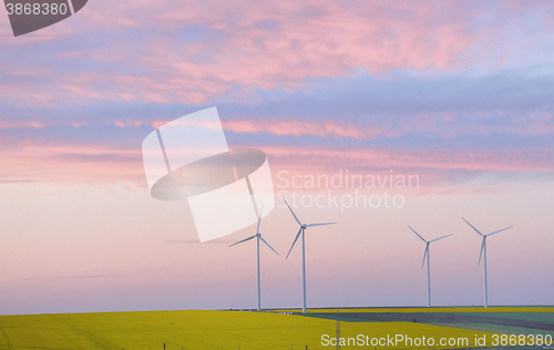 Image of Eolian field and wind turbines at sunset