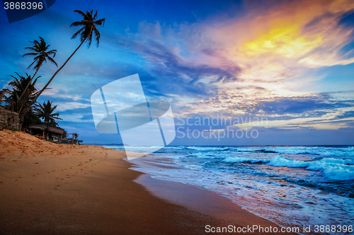 Image of Sunset on tropical beach