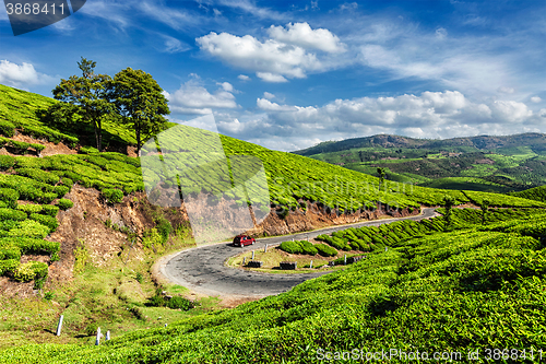 Image of Green tea plantations in Munnar, Kerala, India