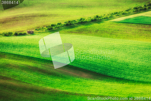 Image of Rolling landscape of  South Moravia