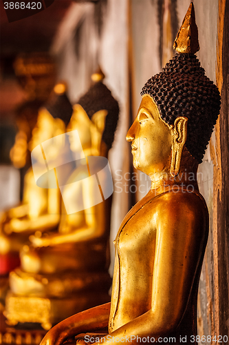 Image of Gold sitting Buddha statues in Thailand