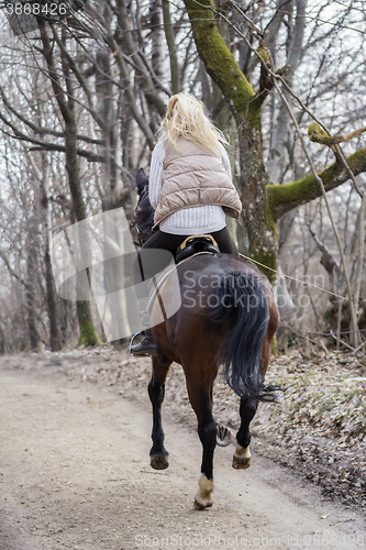 Image of Girl riding a horse in forest