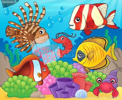 Image of Coral fauna theme image 8