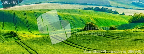 Image of Moravian rolling landscape