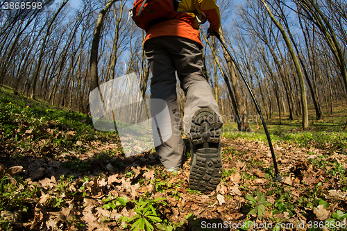 Image of Close up of hiker shoes boots and hiking sticks poles