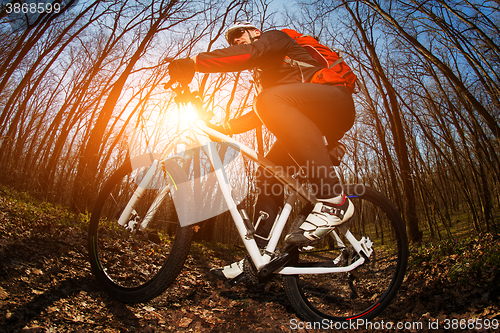 Image of Cyclist Riding the Bike