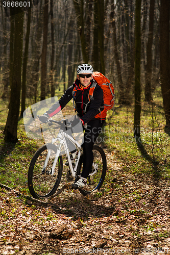 Image of Mountain biker riding on bike in springforest landscape. 