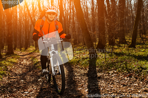 Image of Mountain biker riding on bike in springforest landscape. 