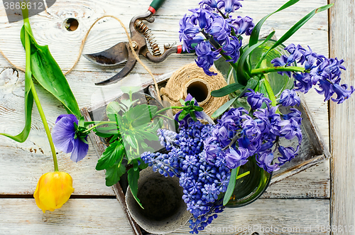 Image of Spring decorative flowers