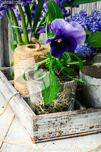 Image of Spring decorative flowers
